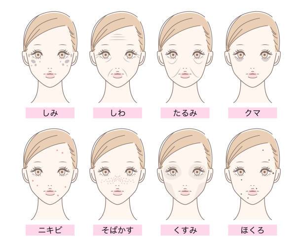 7. 問い合わせ・予約のご案内